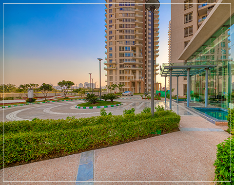 pioneer presidia master plan