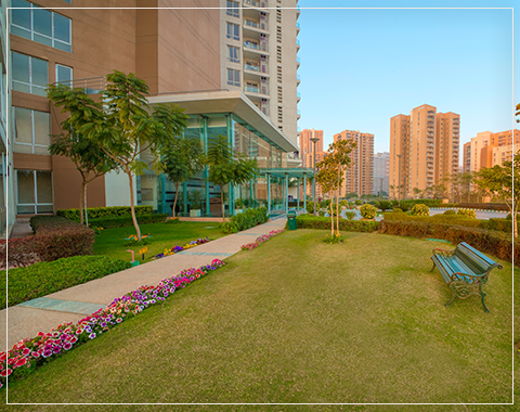 pioneer park presidia site plan